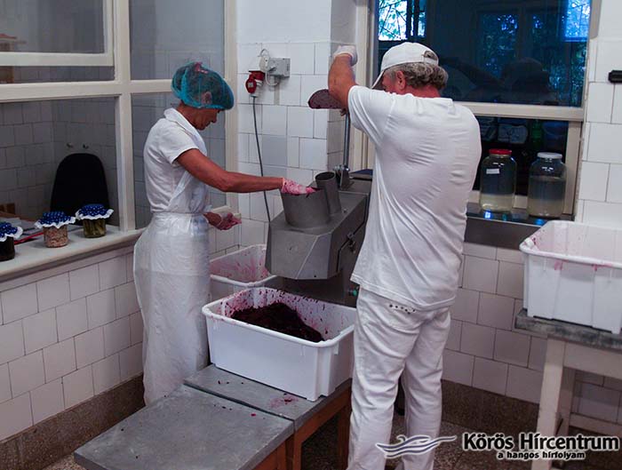 A savanyítóüzem a Start Munkaprogramban megtermelt zöldségeket dolgozza fel A savanyítóüzem a Start Munkaprogramban megtermelt zöldségeket dolgozza fel