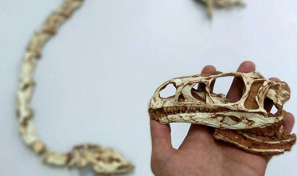 dinoszauruszok