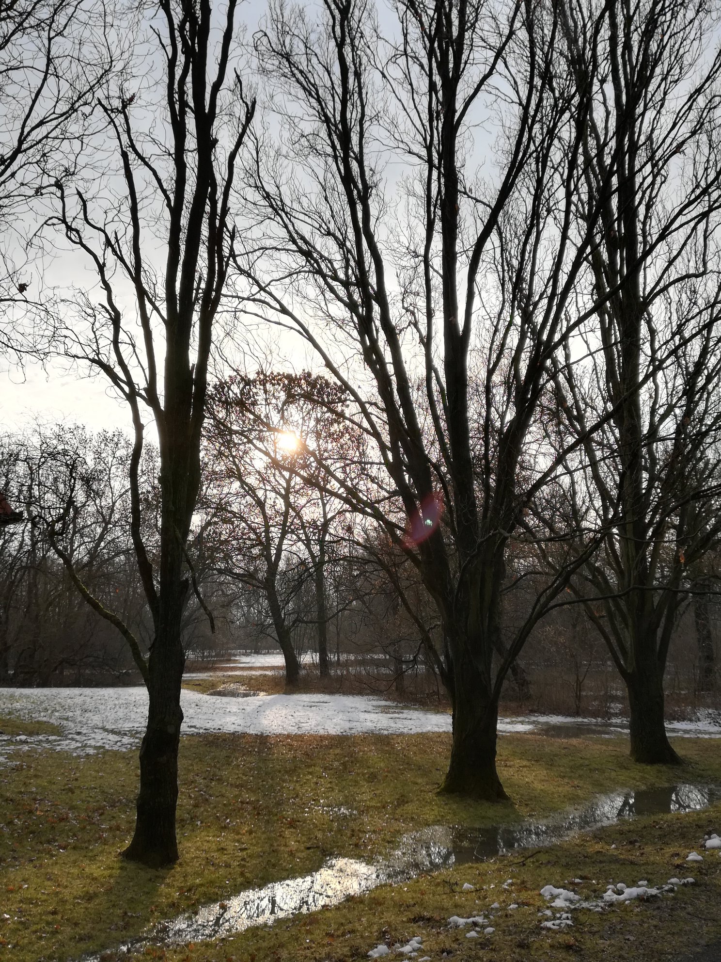 nemzeti park